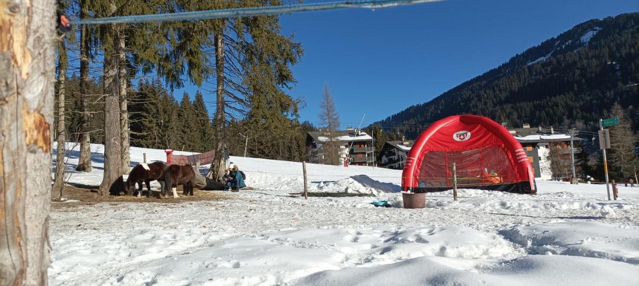 Studio Appartement Avec Piscine, Ski Porte Du Soleil Morgins, Ps3 Games, Wash & Bring Sheets Экстерьер фото